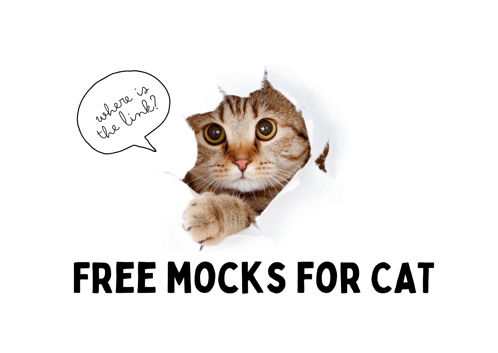 Free Cute Funny Cat Birthday Card.png